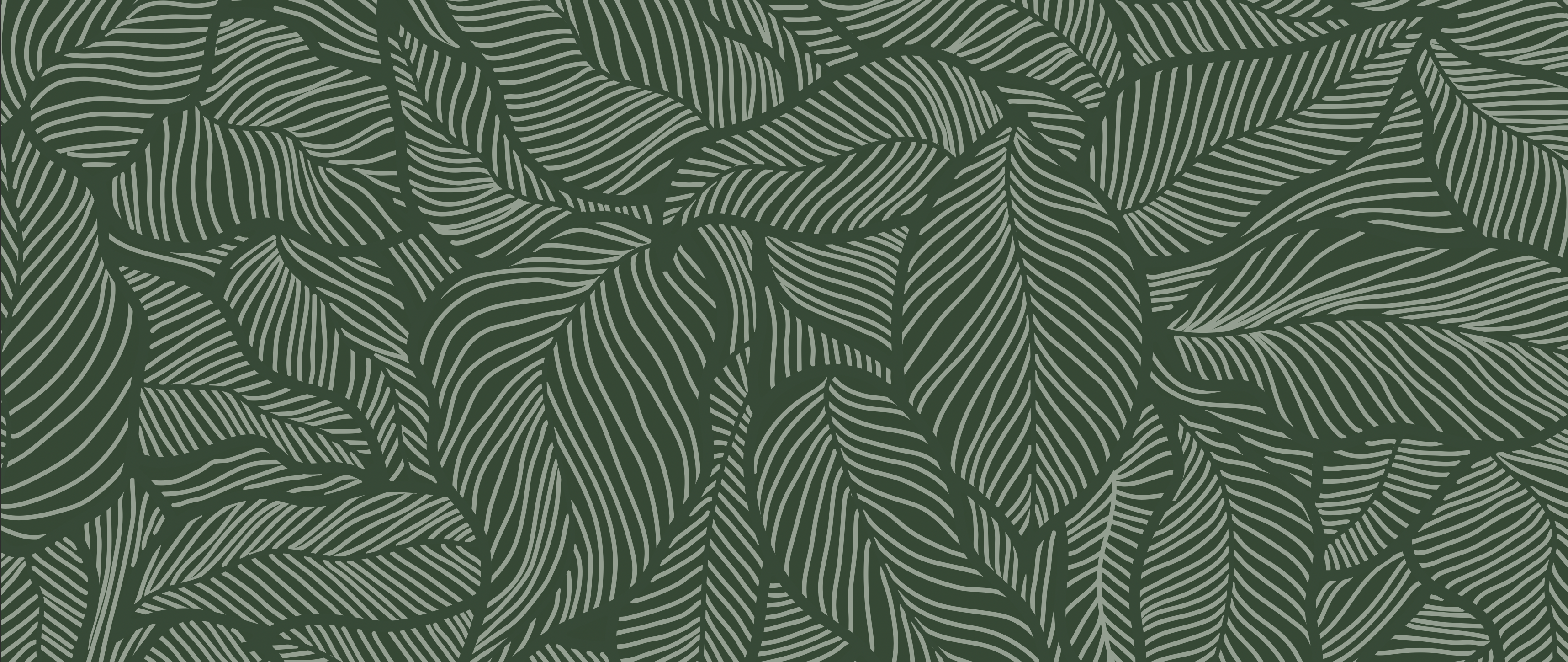 Header Image - Leaves